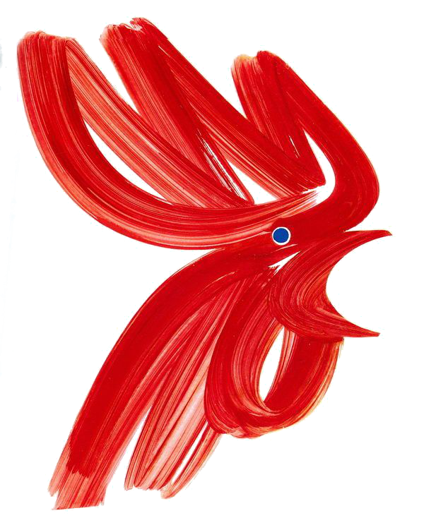 Forms Coq Anglais